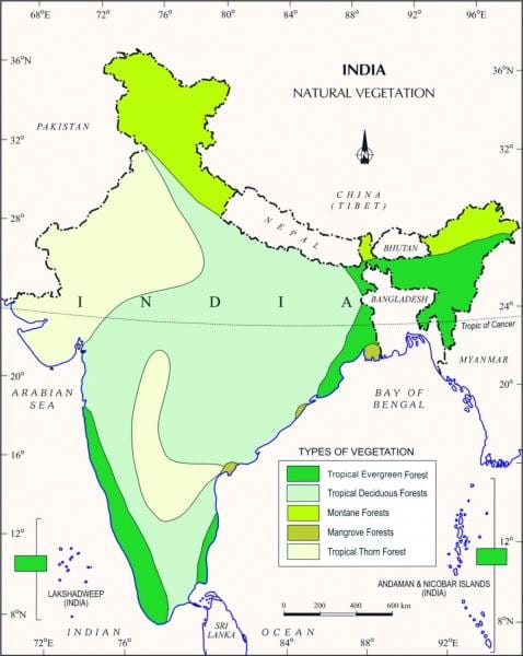 地図のマングローブ域におけるインド