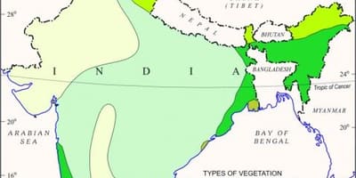 地図のマングローブ域におけるインド