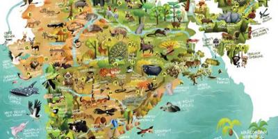 インドの野生生物地図